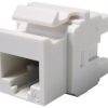 KEYSTONE JACK, CATEGORY 6 MOLEX RJ45 KEYSTONE JACK